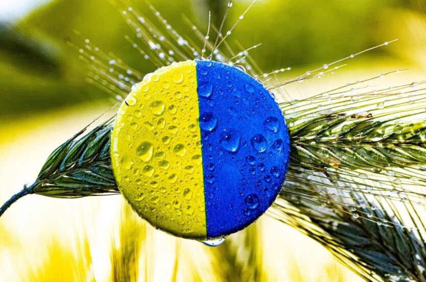 EU and Ukraine Begin Negotiations on a New Trade Agreement