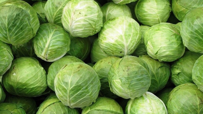 Junge Gemüse beginnen günstiger zu werden: Wie sich die Preise für Kohl, Zwiebeln und Gurken Ende des Frühlings verändert haben
